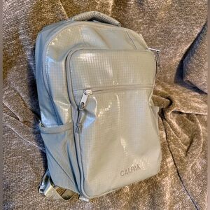 CALPAK Terra Laptop Backpack in Juniper